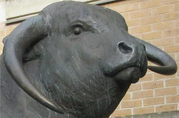 Detail of bronze Oxford station. Photo (c) J. G. Betts Bronze head of ox