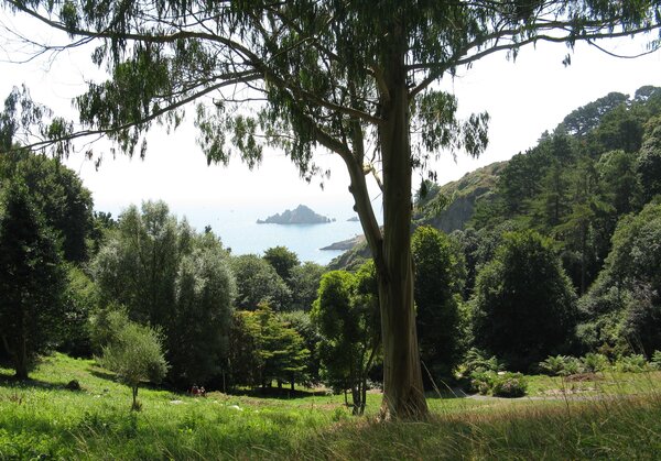 View of sea and small island from Coleton Fishacre gadens S. Devon